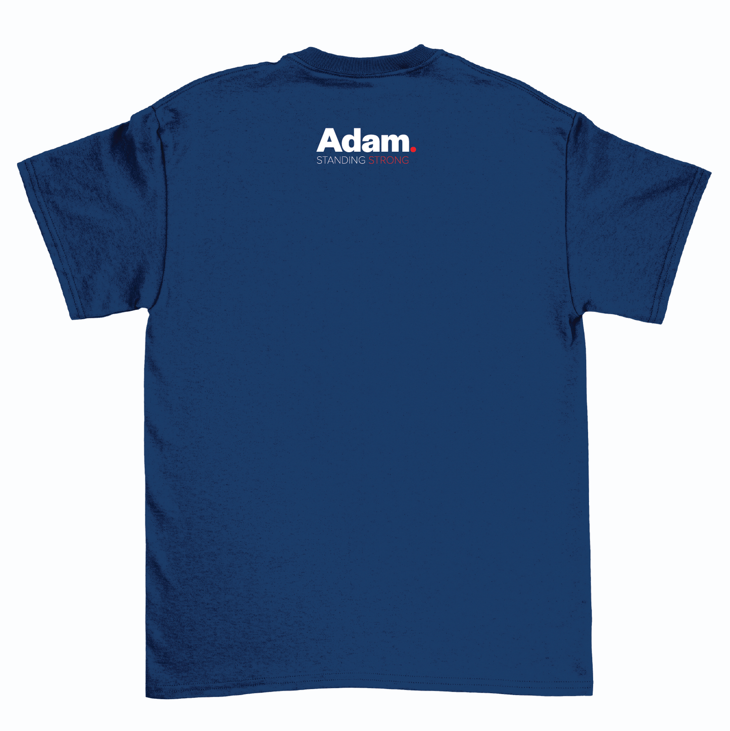 Adam Schiff Right, Truth, Decency Matters T-Shirt