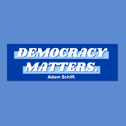 Democracy Matters Bumper Sticker